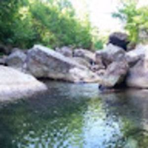 Meet your Posher, Dustin